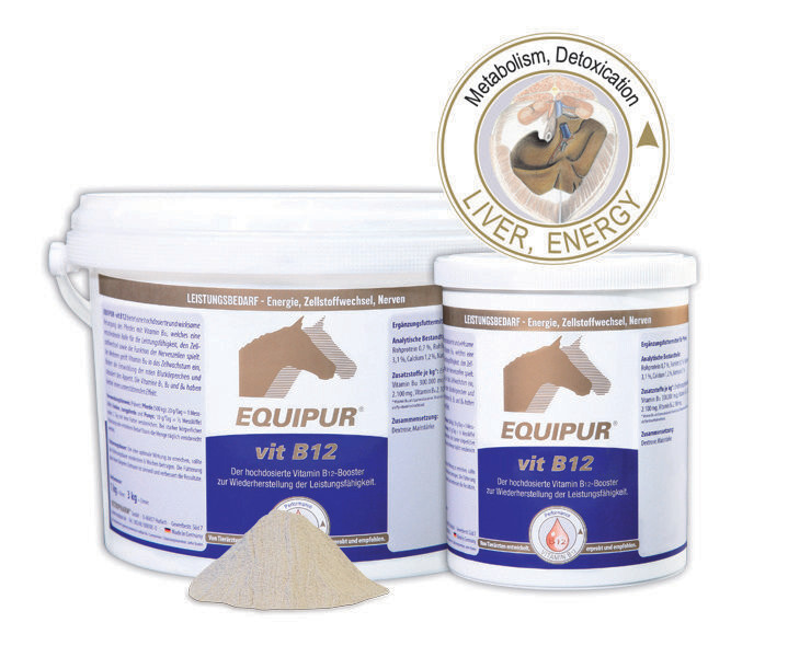 EQUIPUR-Vit B 12 EQUIPUR-Vit B 12