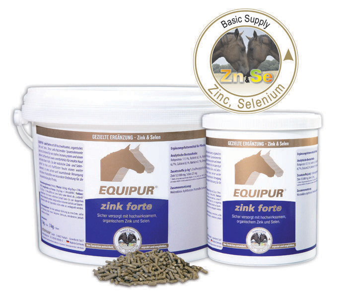EQUIPUR-zink forte EQUIPUR-zink forte