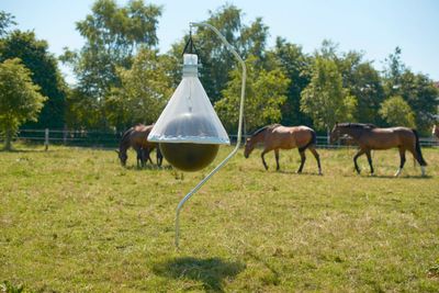 Kerbl Schädlingsbekämpfung