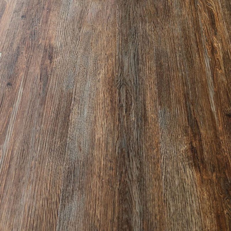 Royal Elm