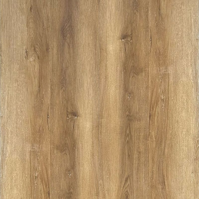 Golden Oak