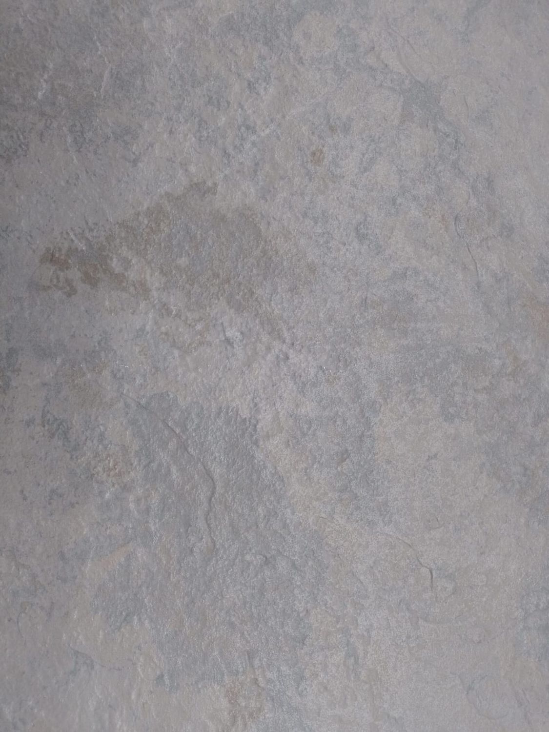 Patagónico Mercurio