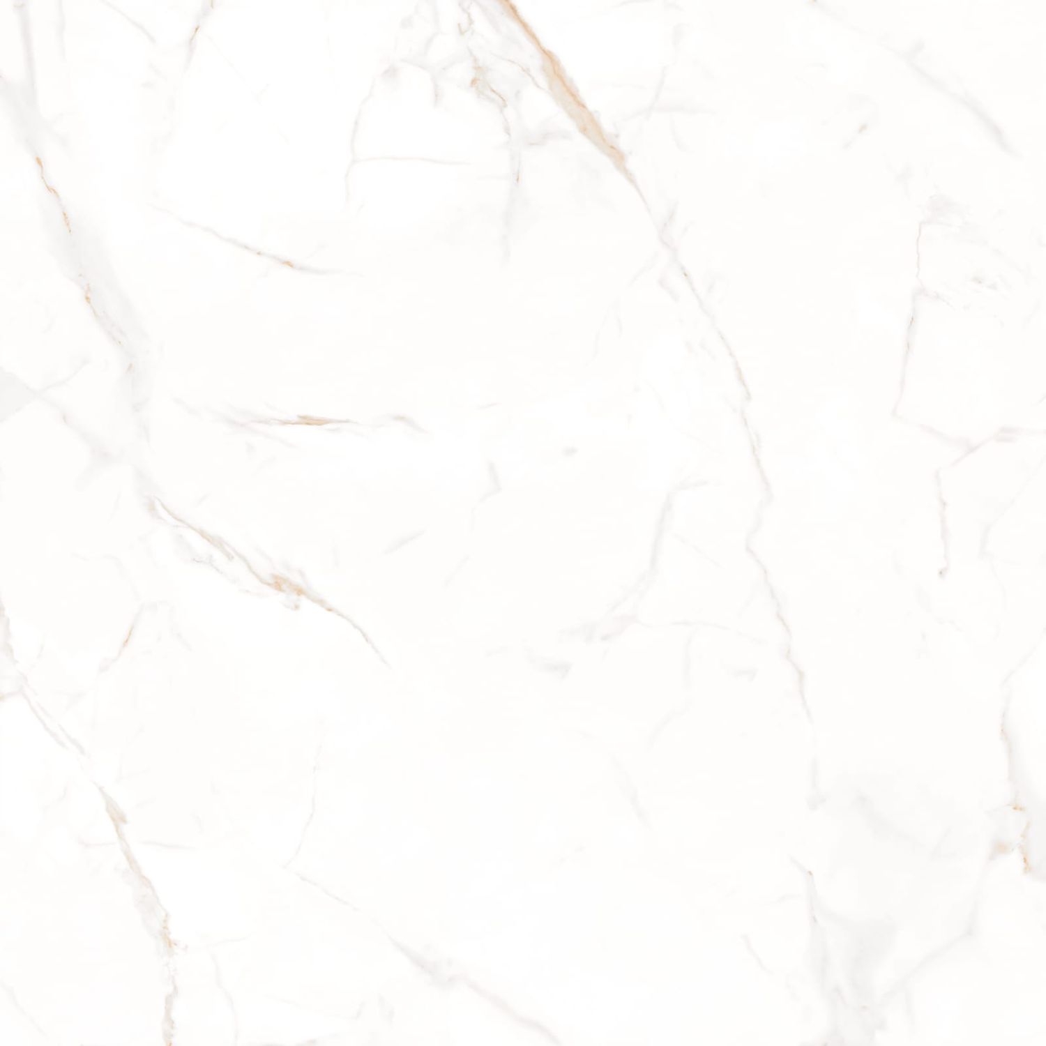 Marmo  Bianco Pulido