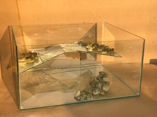 Tortugueros de Vidrio