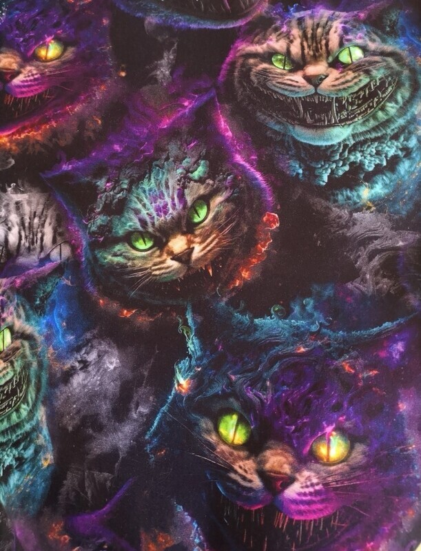 Chat méchants