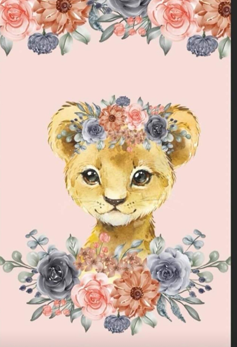 Couverture lionne grand format