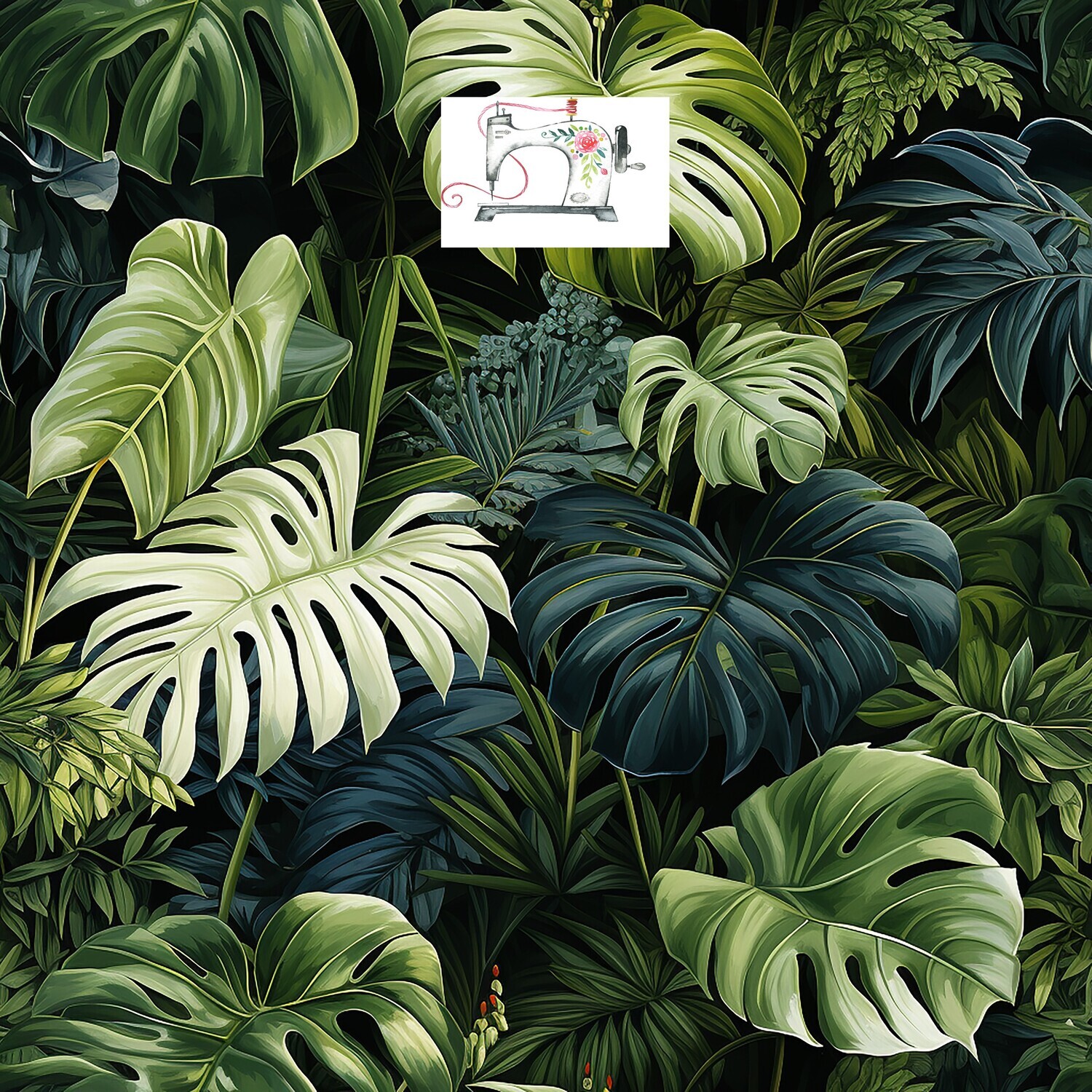Monstera colorée