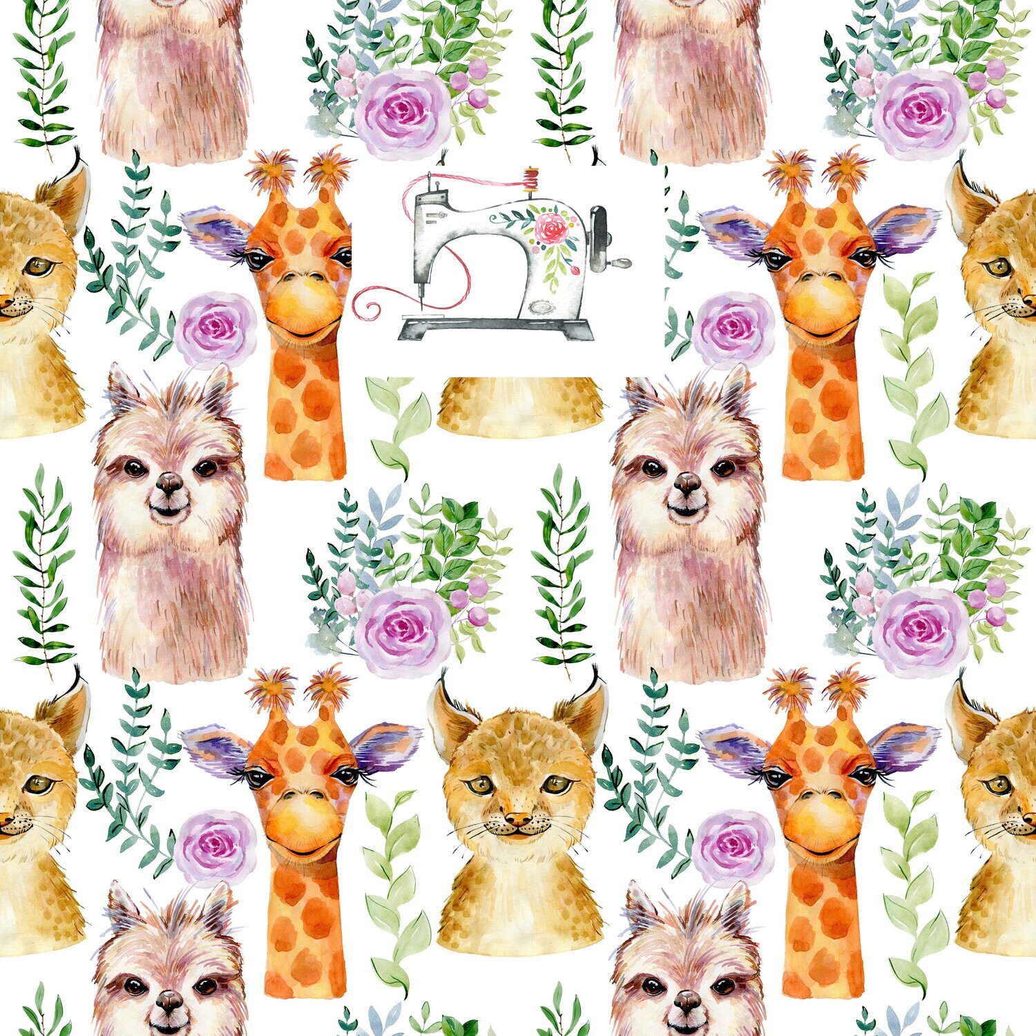 Safari