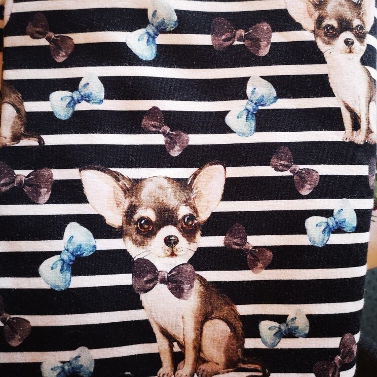 Chihuahua