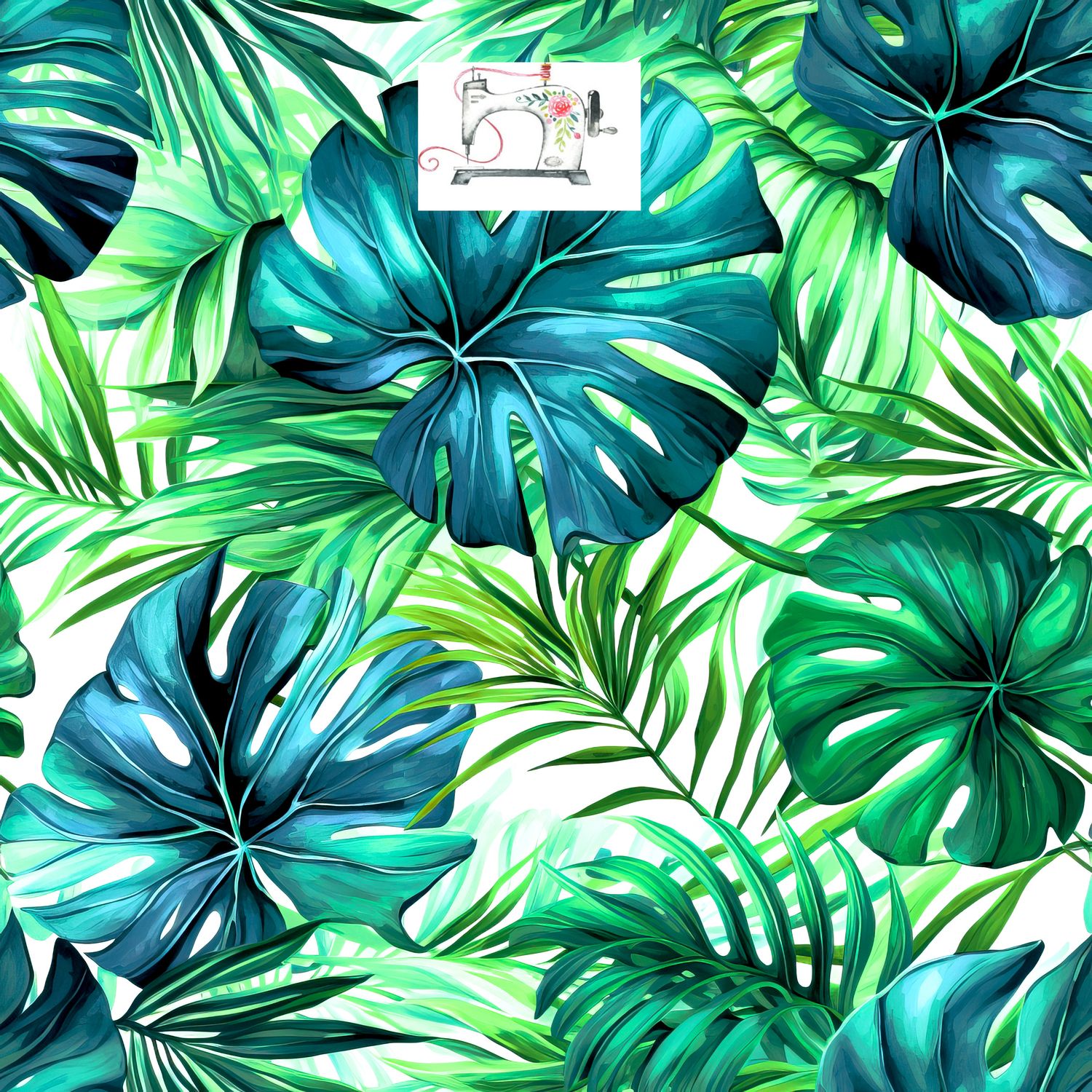 MONSTERA 15