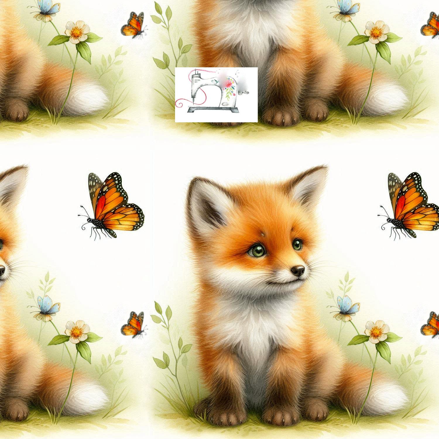 PETIT CURIEUX