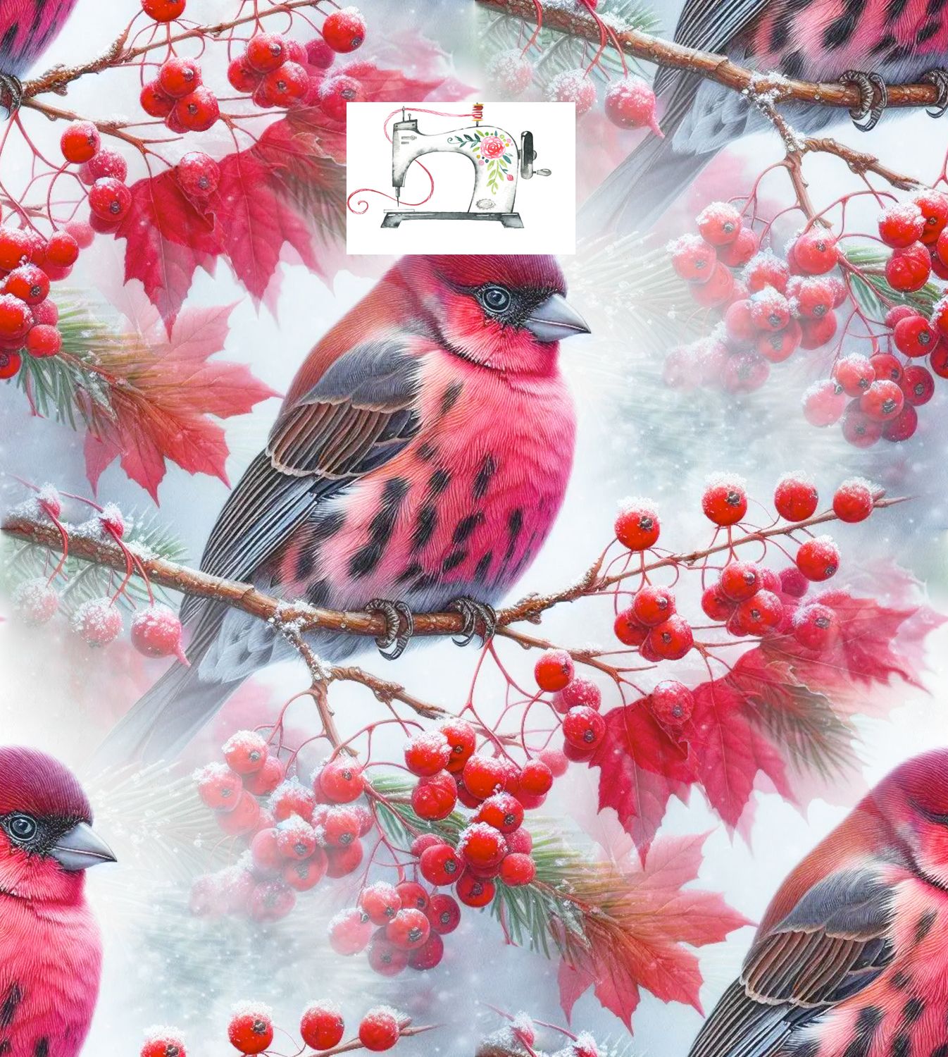 OISEAU HIVER 2 (EXCLUSIF)