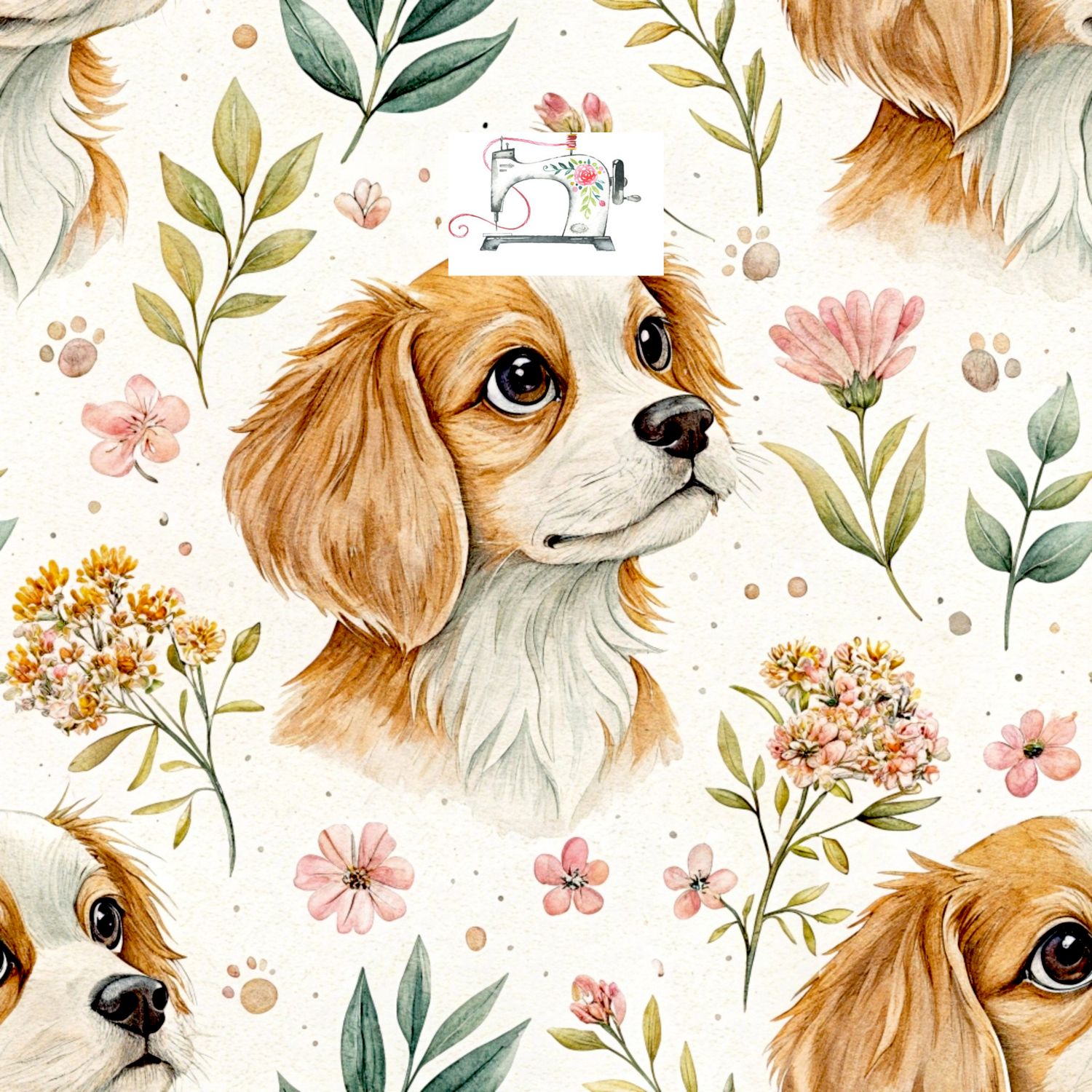 CHIEN CUTE 2