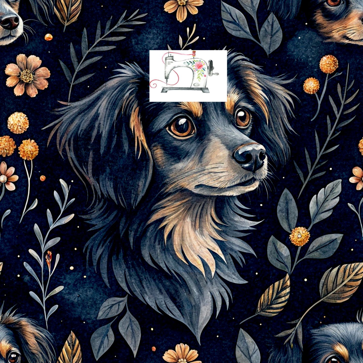 CHIEN CUTE NOIR