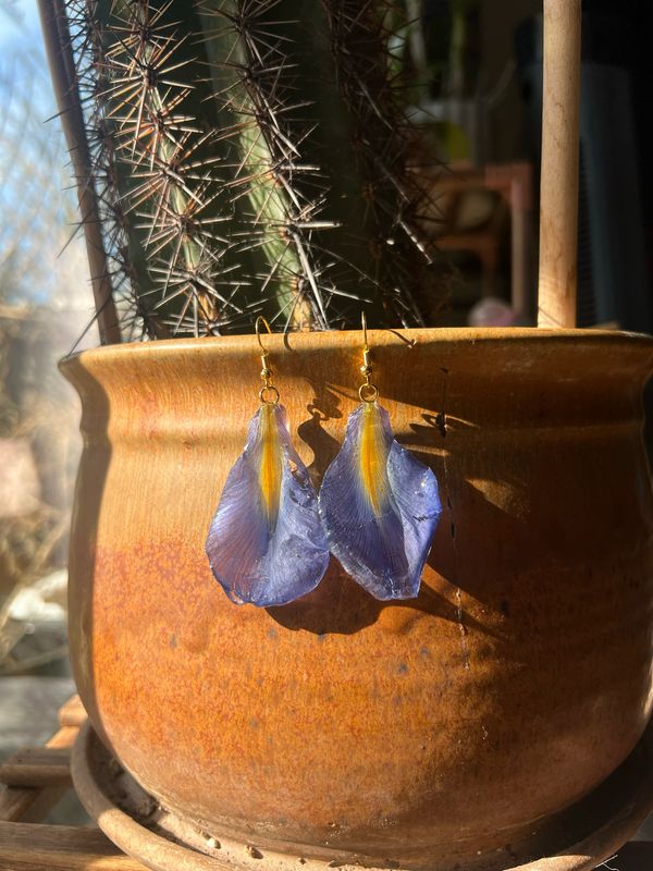 Glass Flowers : Blue And Yellow Iris Petal