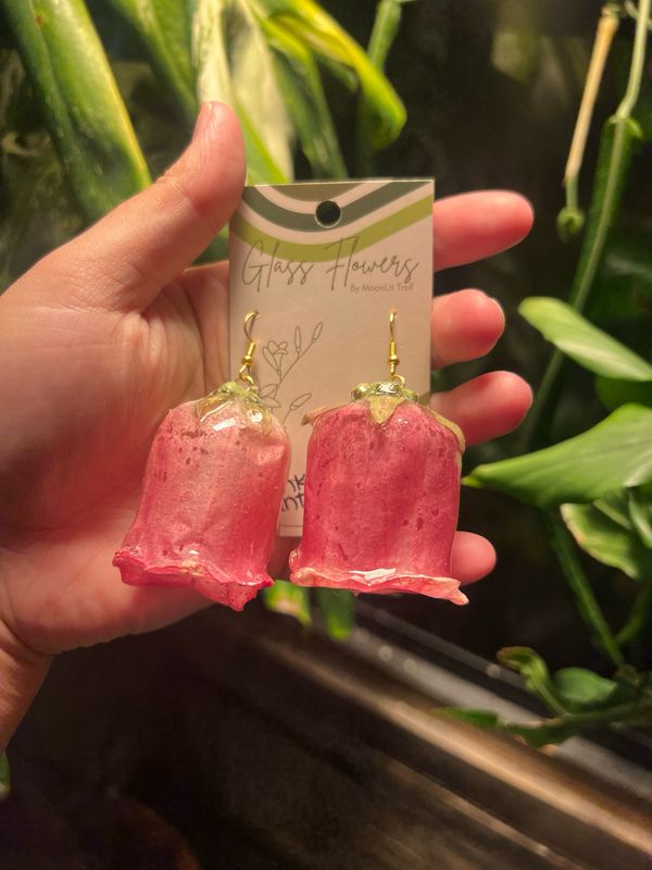 Large Pink Canterbury Bells