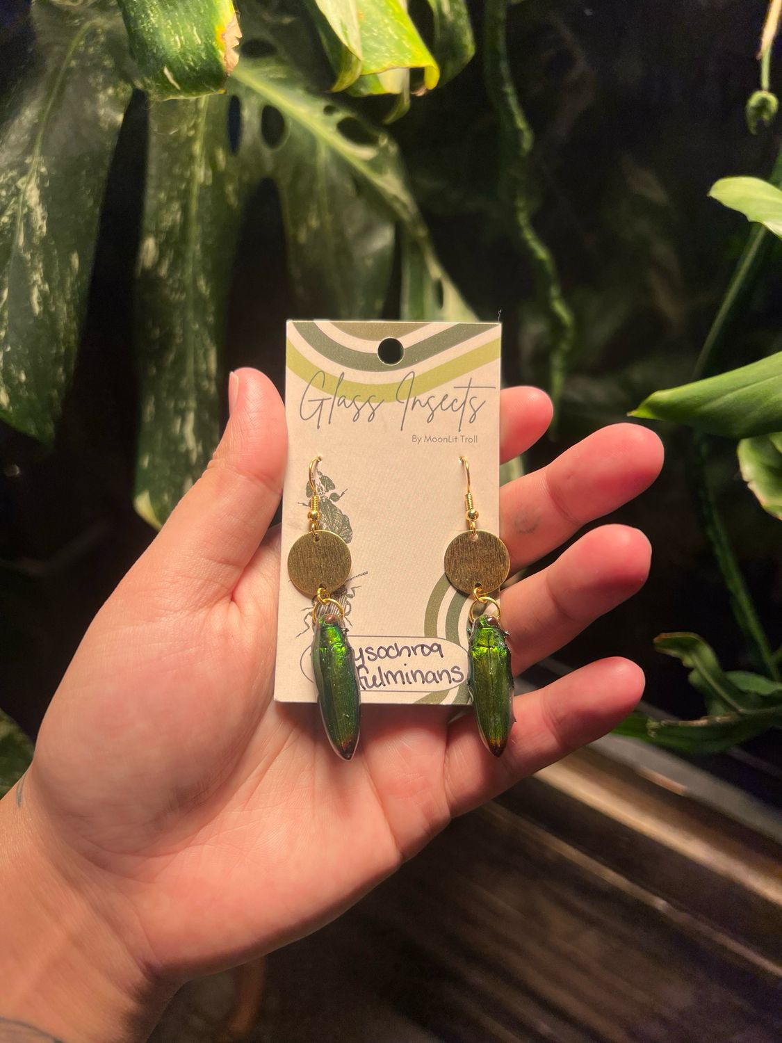 Green Jewel Beetles, Chrysochroa fulminans With Brass Charm