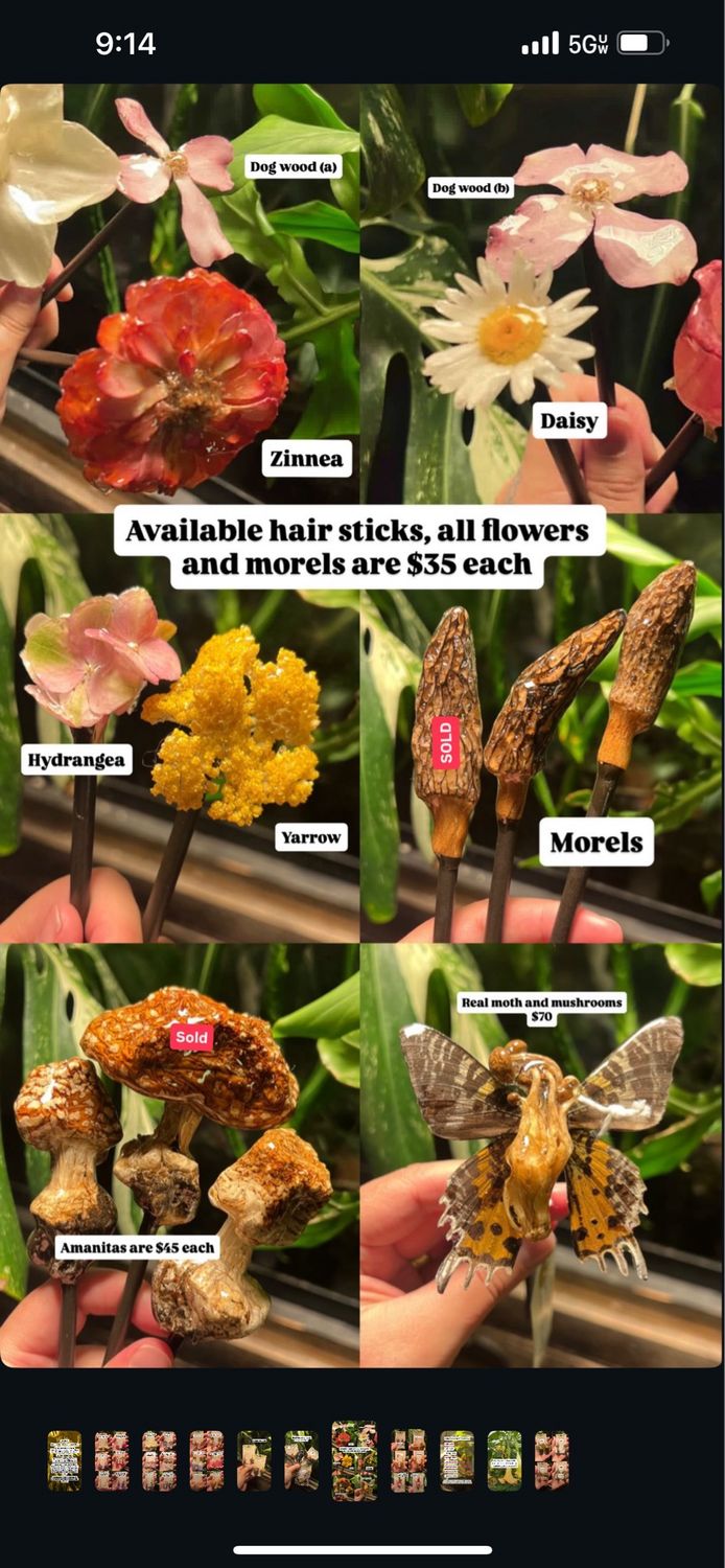 Zinnea And Amanita Hair Sticks For Megan