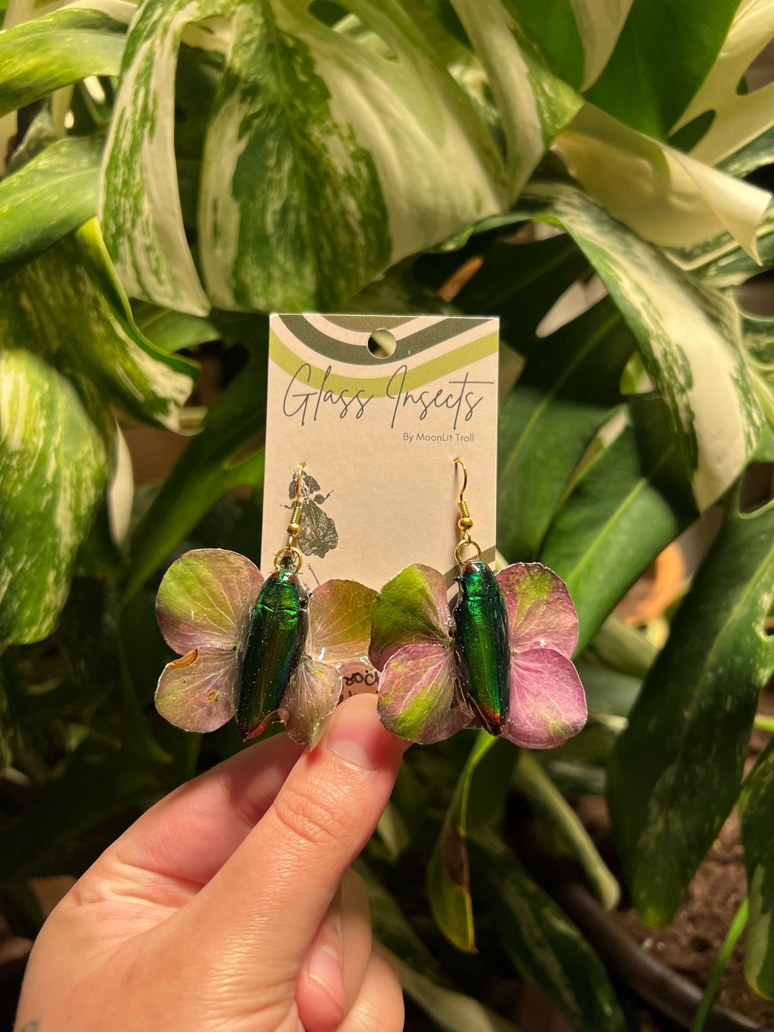 Green Jewel Beetles, Chrysochroa fulminans With Tilt A Swirl Hydrangea