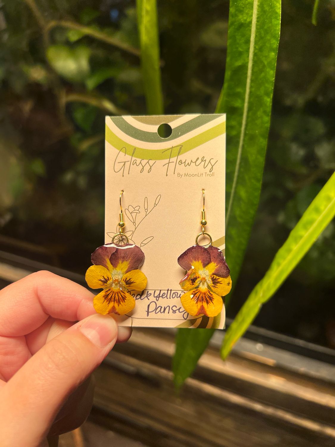 Rust and Yellow Pansies