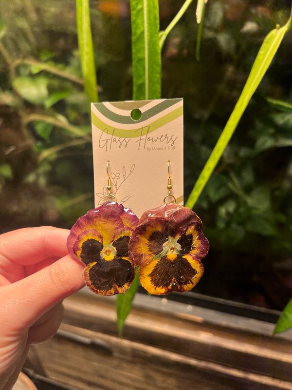 Rust to Yellow (dark) Pansies