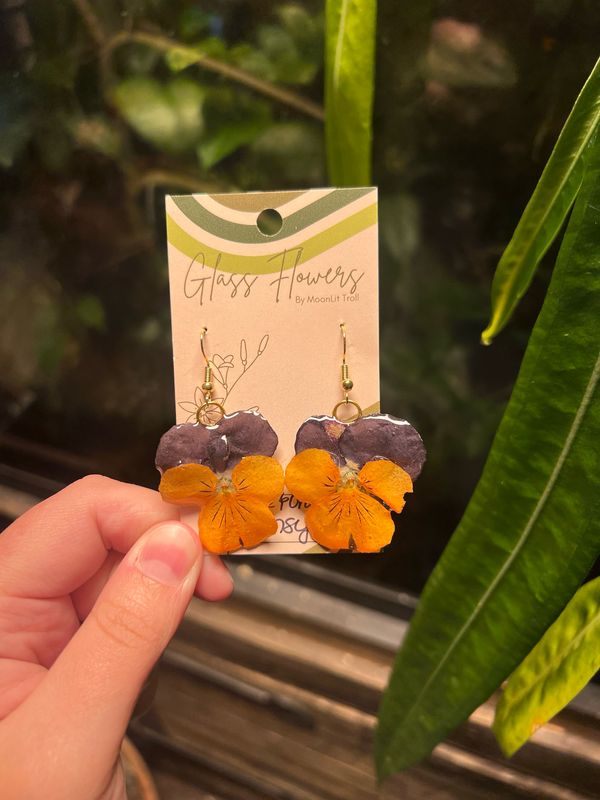 Dark Purple and Orange Pansies