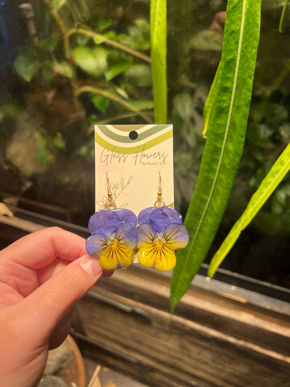 Blue to Yellow Pansies