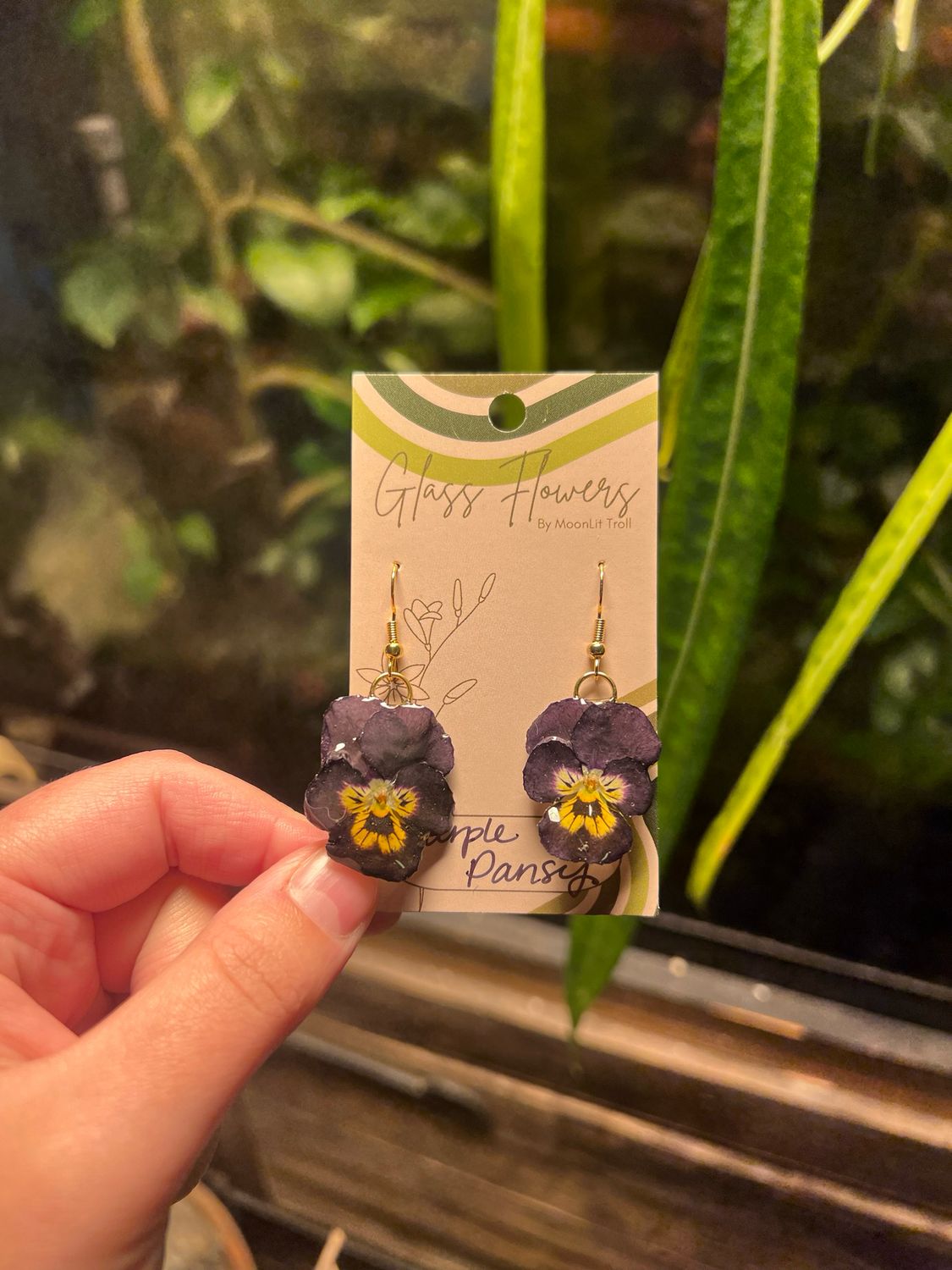 Darkest Purple Pansies