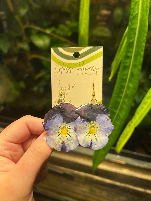 Blue to White Pansies