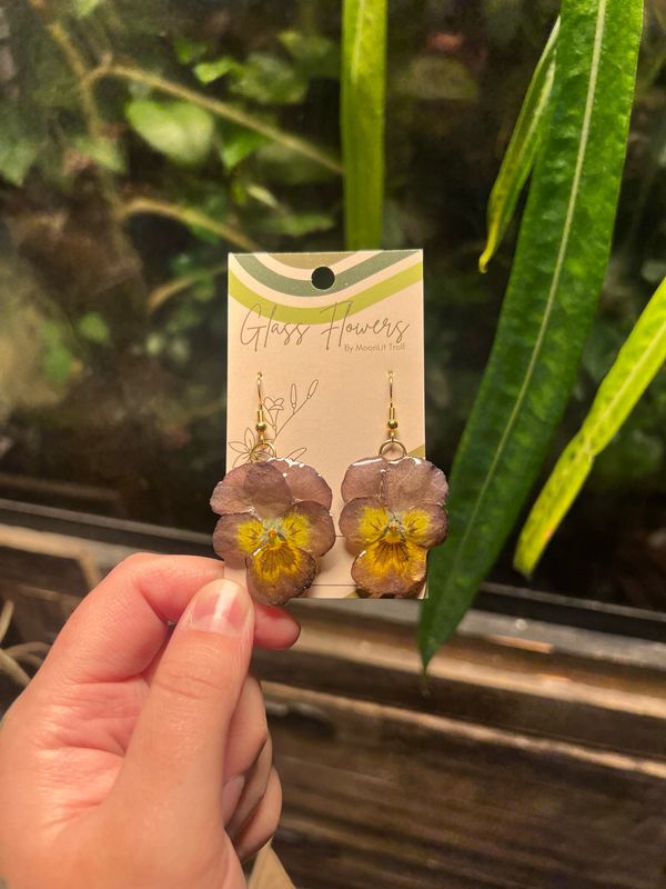 Dark Neutral Pansies