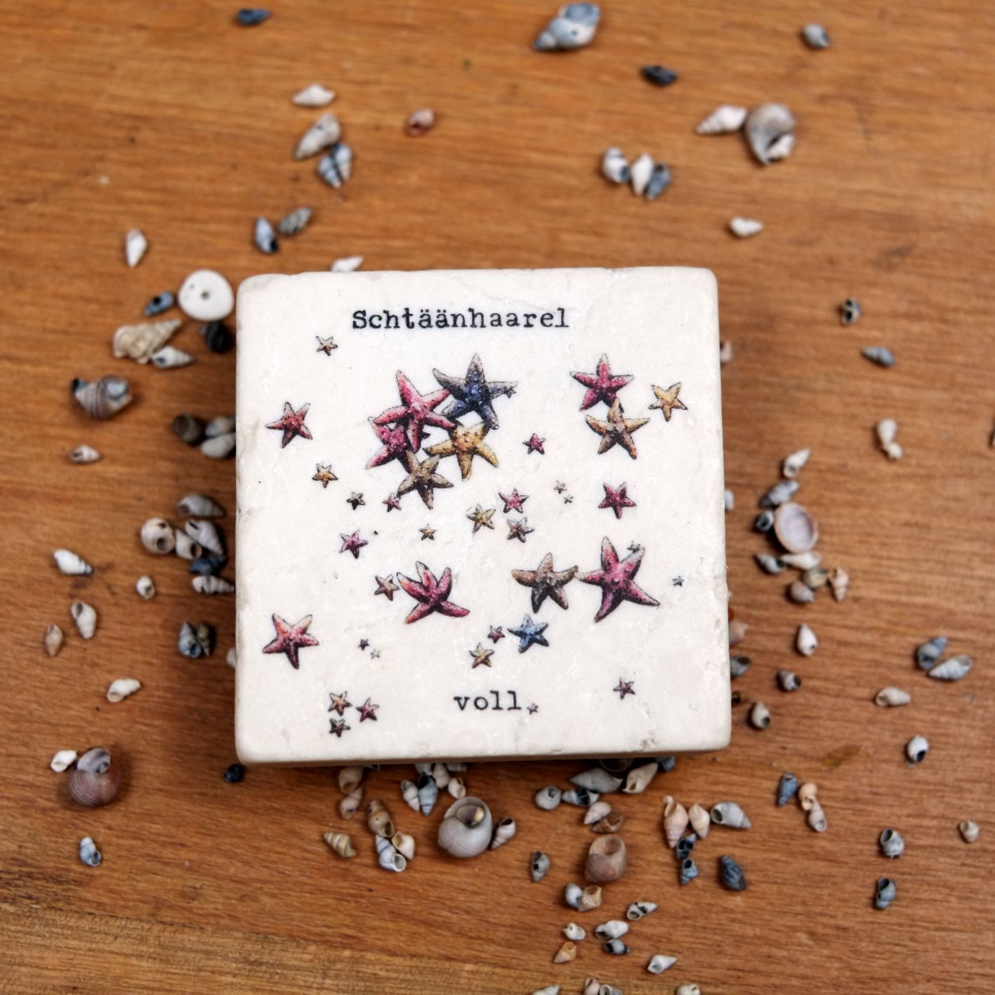 Magnet Magnet "Seesternhagel" aus der Serie "Kölsche Fische"