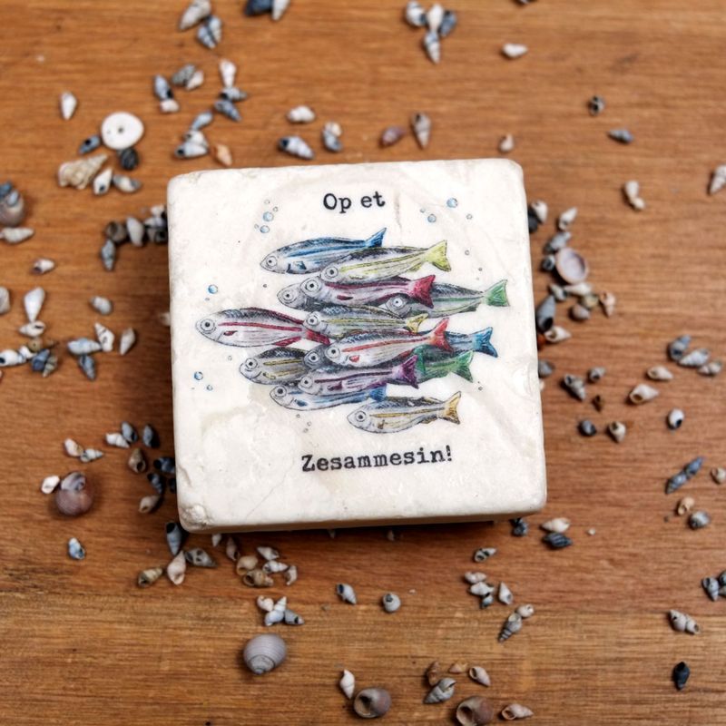 Magnet Magnet "Fischschwarm" aus der Serie "Kölsche Fische"