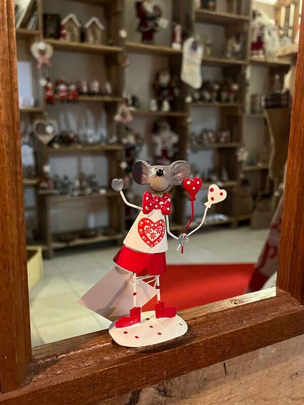Souris garçon