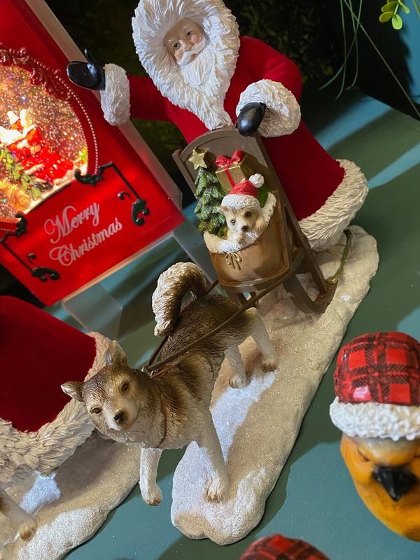 Père Noël et son chien de traineau