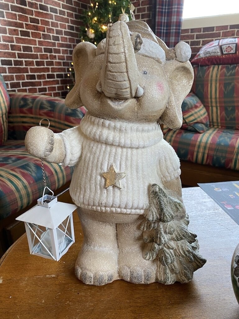 Eléphant d'Hiver Eléphant d'Hiver