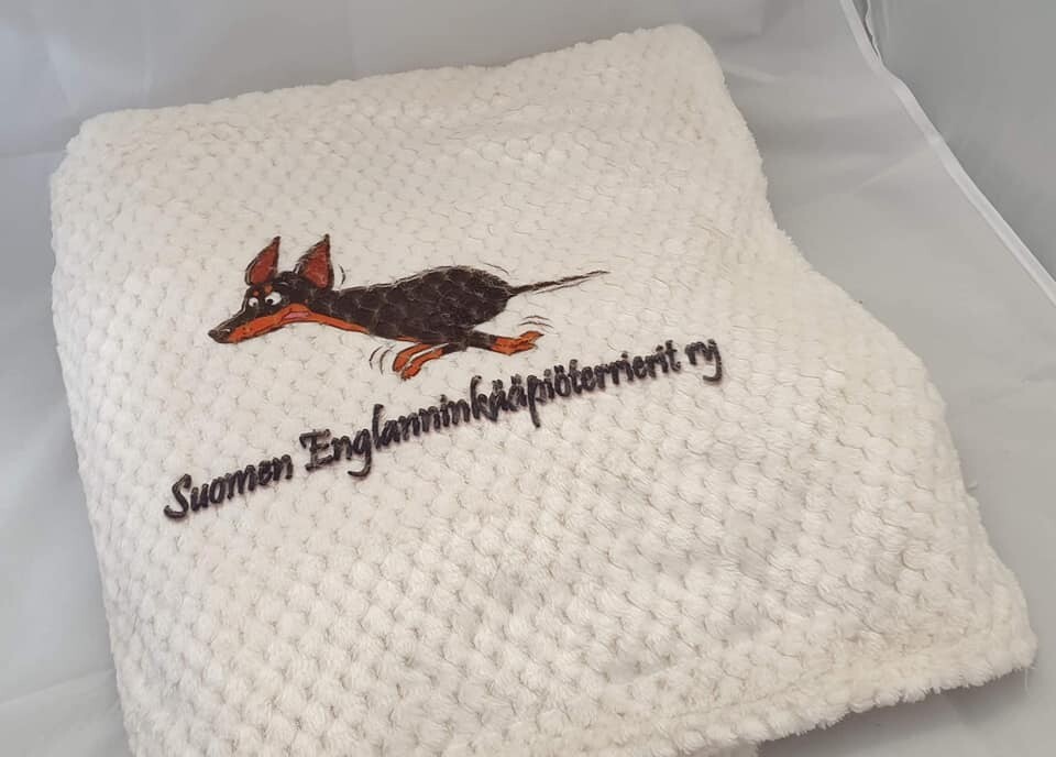 Torkkupeitto
