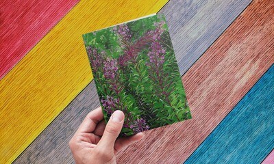 Culloden Moor 2 - Rose Bay Willow Herb - Greeting Card