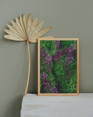 Culloden Moor 2 – Rose Bay Willow Herb– A3 Mounted Print