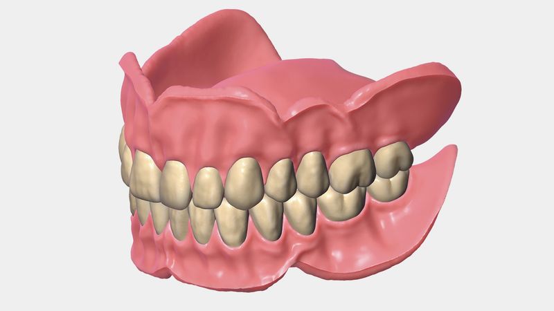 Exocad Add-On (Licence Flex) Module Full Denture