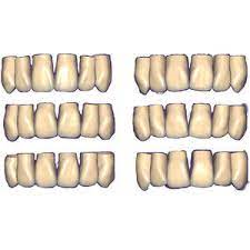 Exocad Add-On (Licence Flex) Module ZRS Tooth Library