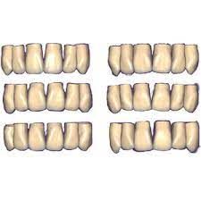 Exocad Add-On (Licence Flex) Module ZRS Tooth Library