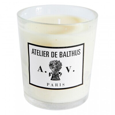 Bougie parfumée Atelier de Balthus 260G - ASTIER DE VILLATTE