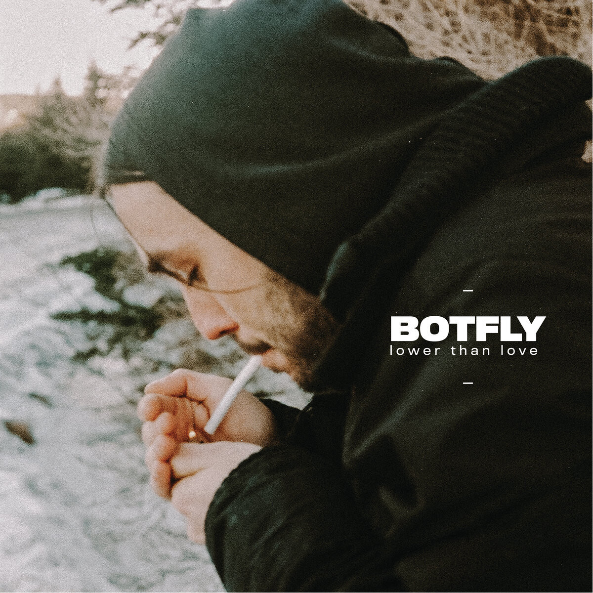 Botfly - Lower Than Love