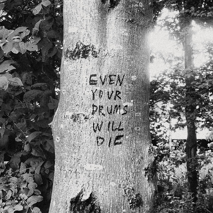 Richard Swift - Even Your Drums Will Die LP