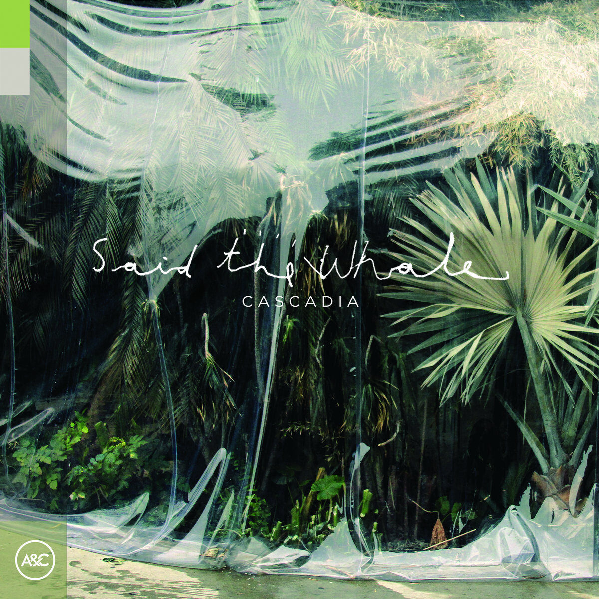 Said the Whale - Cascadia LP