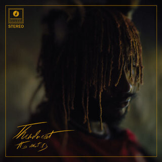 Thundercat - It Is What It Is (RED VINYL) LP