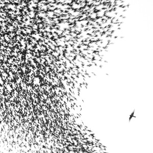 Wilco - Sky Blue Sky (2LP)