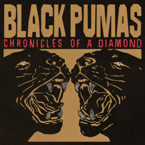 Black Pumas - Chronicles of a Diamond (Clear Vinyl) LP