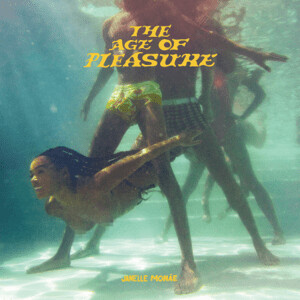 Janelle Monae - The Age Of Pleasure LP