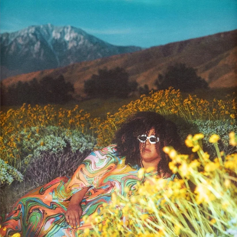 Brittany Howard - What Now (Translucent Yellow Vinyl) LP